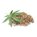 No Additive Food Grade Organic Cold-pressed Hemp Seed Oil